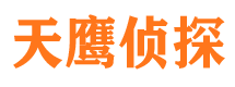 龙安市调查公司